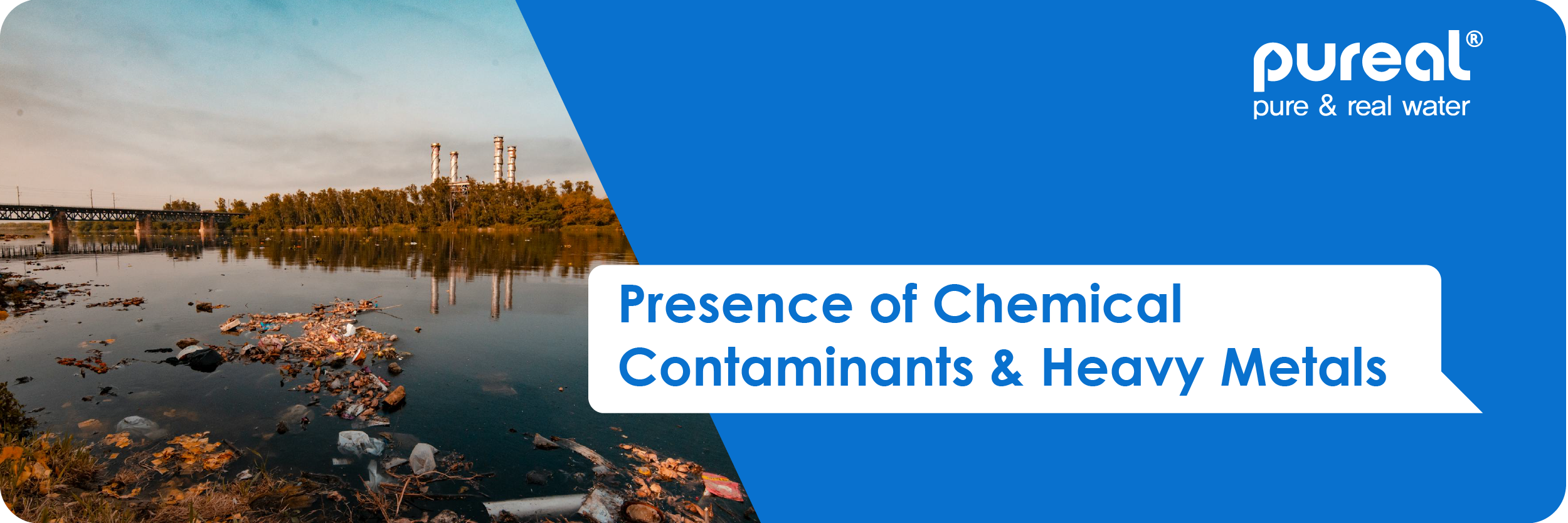 Presence of Chemical Contaminants & Heavy Metals