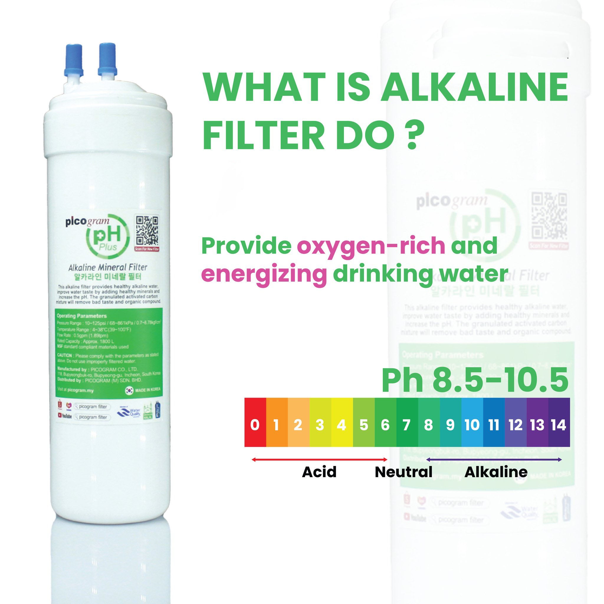 FREE FITTING) 10" INCH/24CM EP+Alkaline SET, PICOGRAM REPLACEMENT WATER FILTER