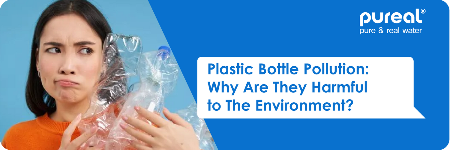 Plastic Bottle Pollution: Why Are They Harmful to The Environment?
