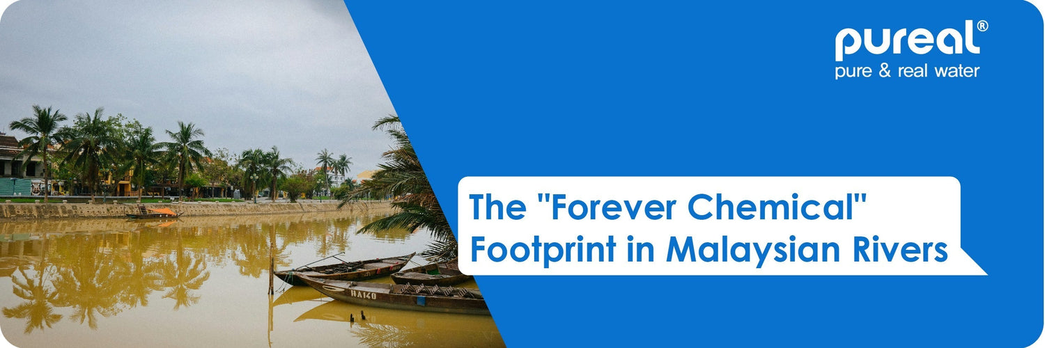The "Forever Chemical" Footprint in Malaysian Rivers