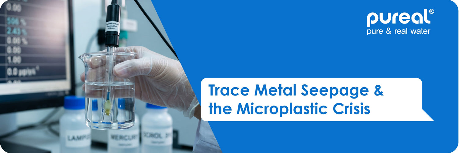 Trace Metal Seepage and the Microplastic Crisis