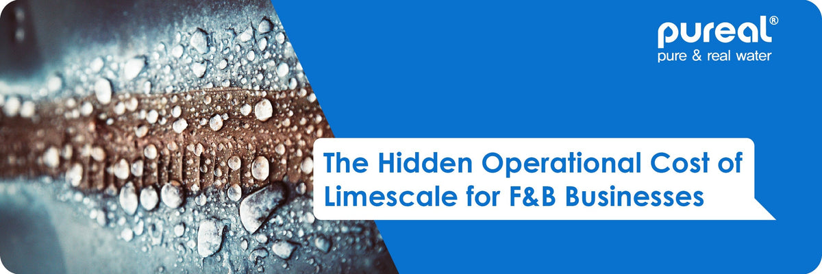 The Hidden Operational Cost of Limescale for F&B Businesses