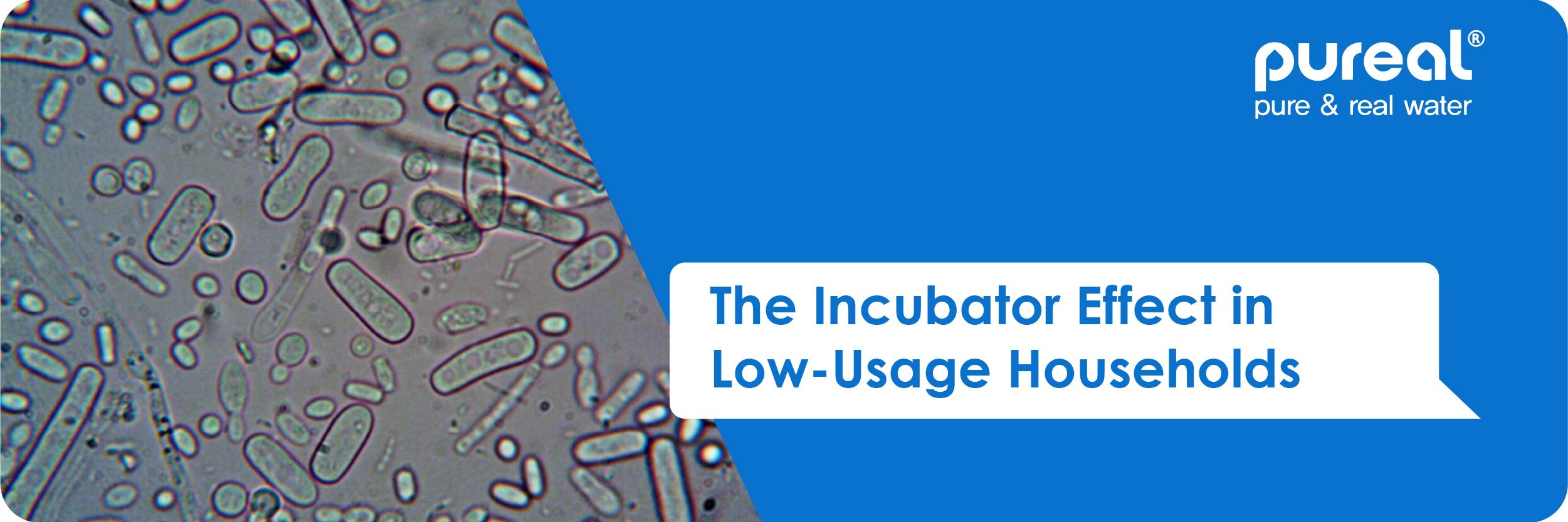 The Incubator Effect in Low-Usage Households