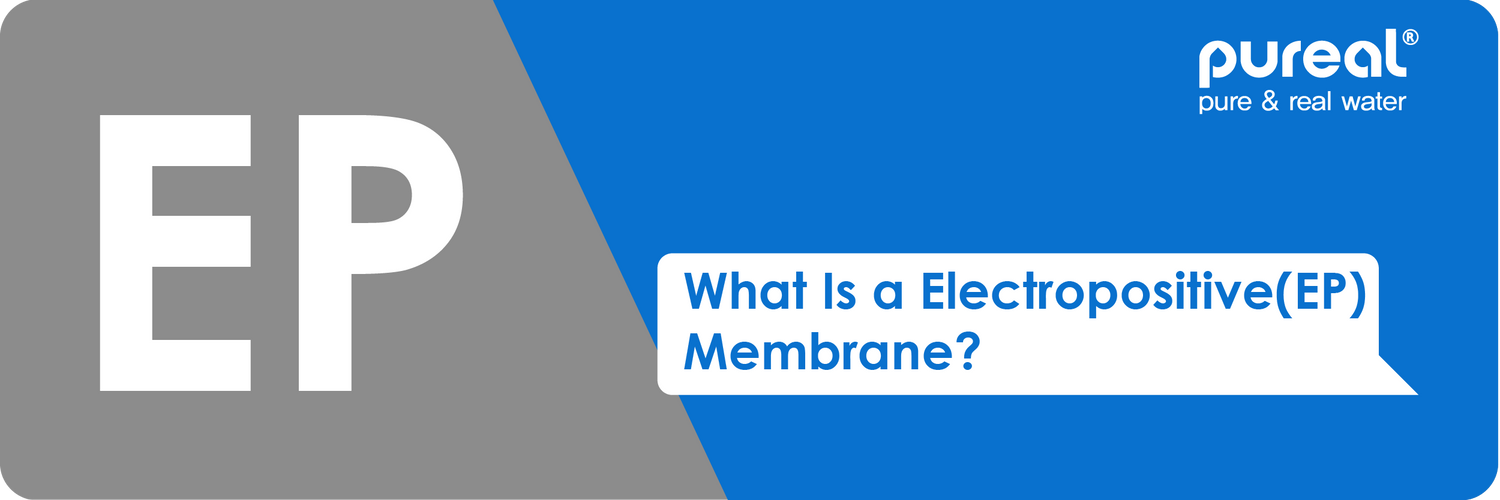 What Is an EP Membrane? Understanding Electropositive Filtration