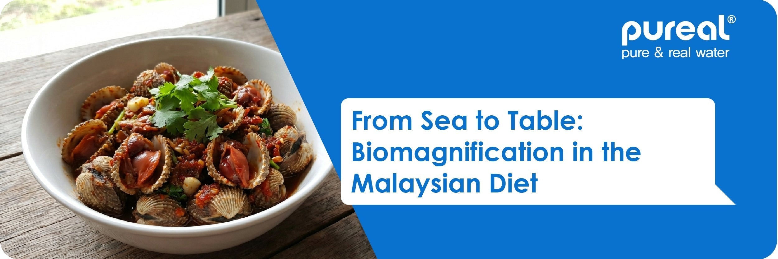 From Sea to Table: Biomagnification in the Malaysian Diet