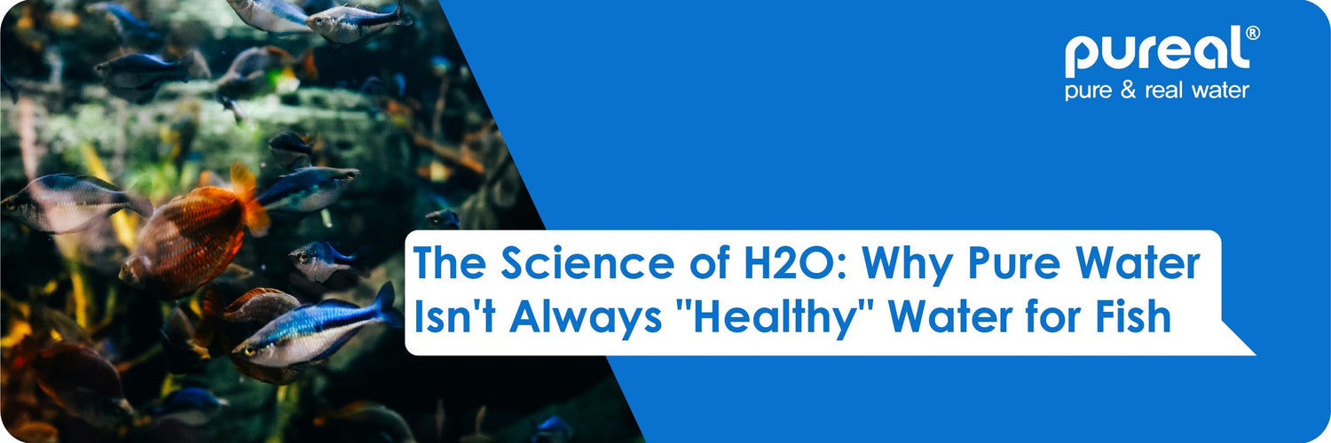 The Science of H2O: Why Pure Water Isn't Always "Healthy" Water for Fish
