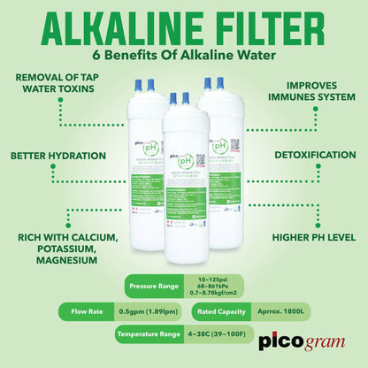 FREE FITTING) 10&quot; INCH/24CM EP+Alkaline SET, PICOGRAM REPLACEMENT WATER FILTER
