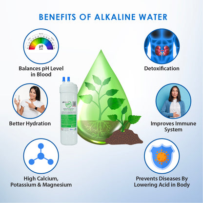 (JAKIM HALAL) Pureal Nano Alkaline Water Purifier - Remove Virus, Bacterial &amp; Lead